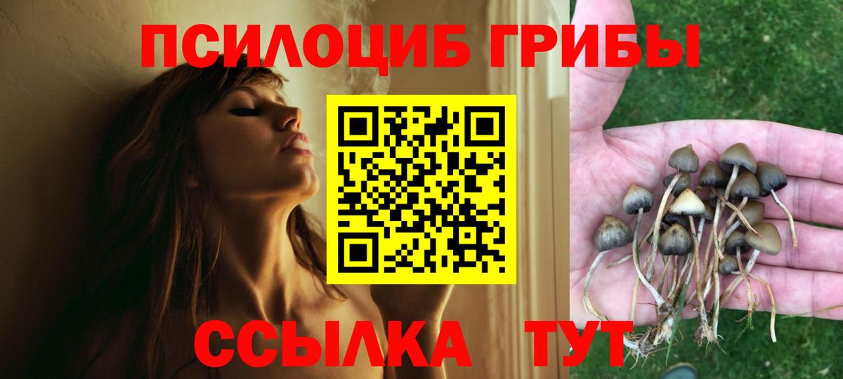 Десногорск  Галлюциногенные грибы GOLDEN TEACHER  Вход с VPN 